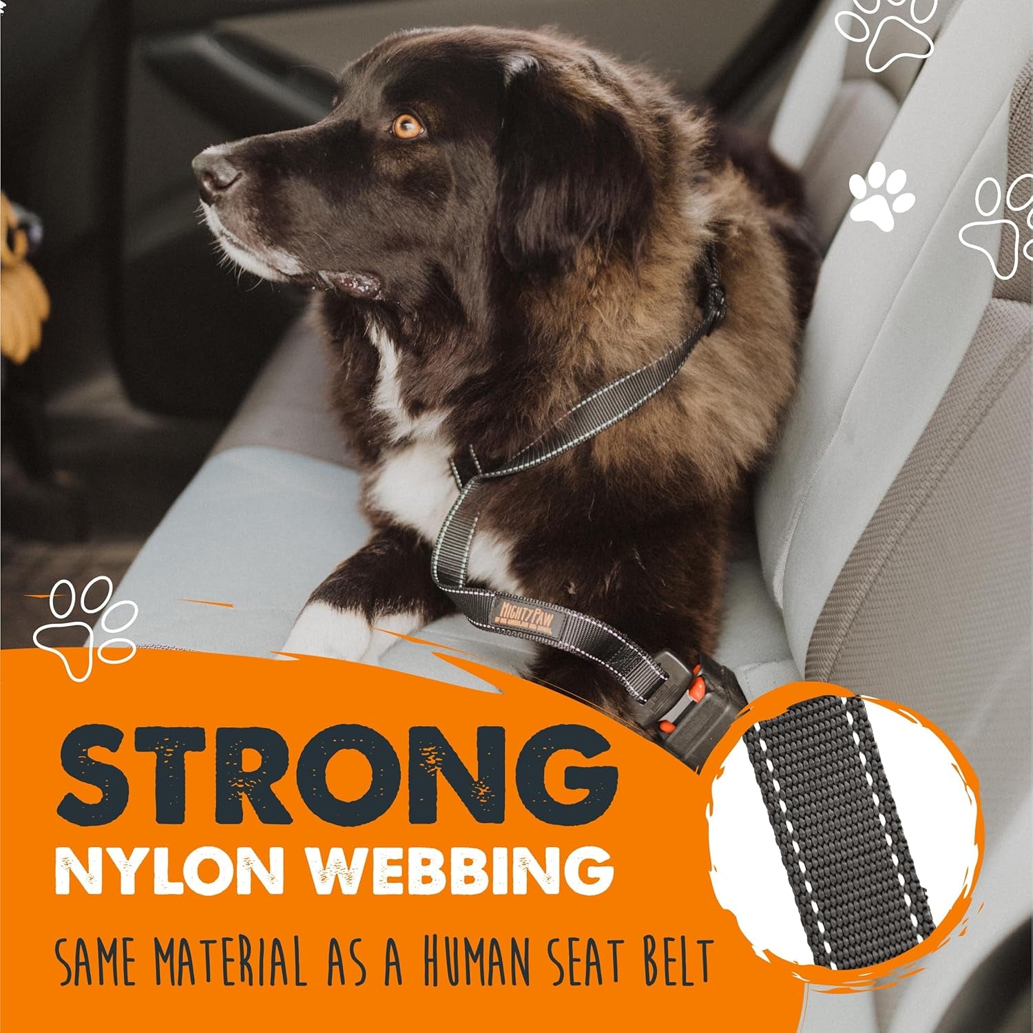 Dog Car Safety Belt | Universal Pet Restraint Made from Durable Seatbelt Material with All-Metal Hardware and Adjustable Strap. Exceeds Safety Standards for Optimal Security (Black)
