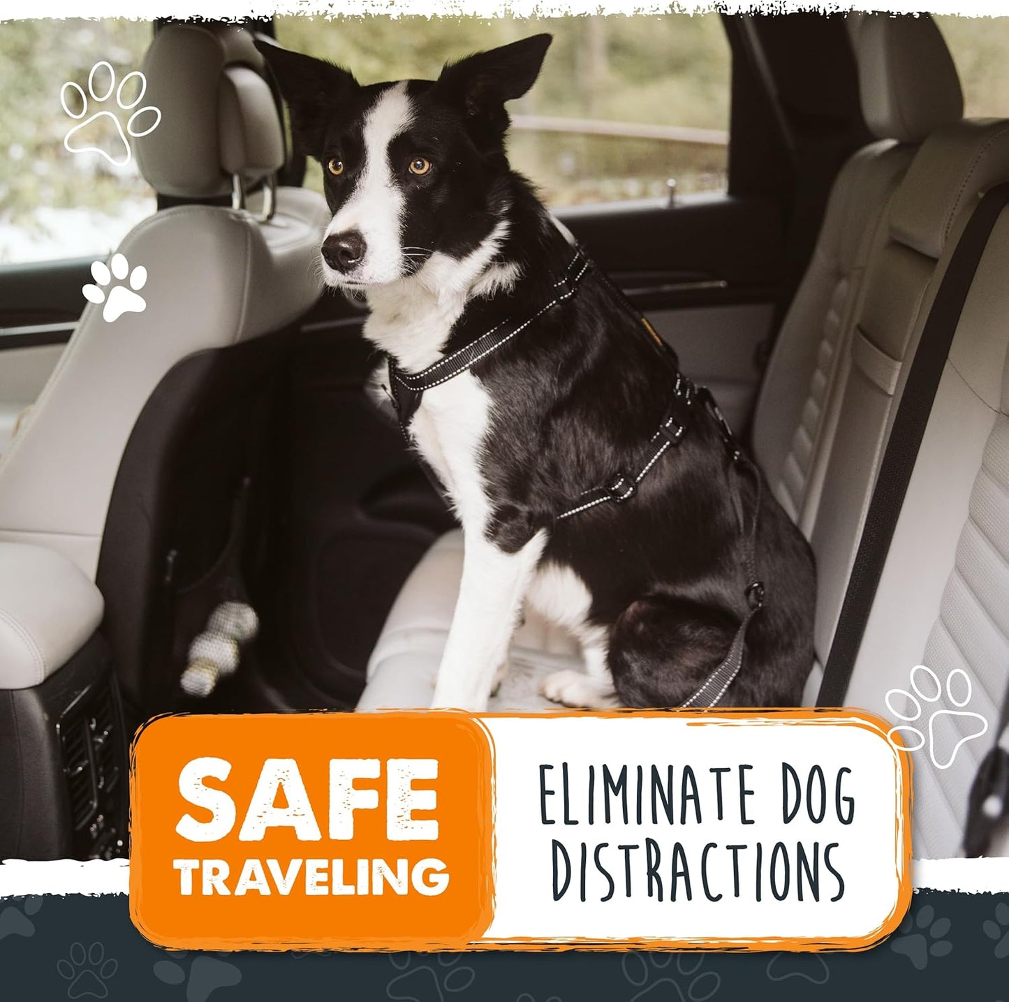 Dog Car Safety Belt | Universal Pet Restraint Made from Durable Seatbelt Material with All-Metal Hardware and Adjustable Strap. Exceeds Safety Standards for Optimal Security (Black)